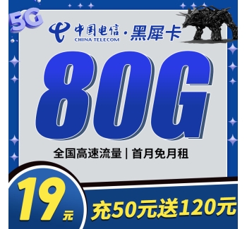 卡世界电信黑犀卡19元80G