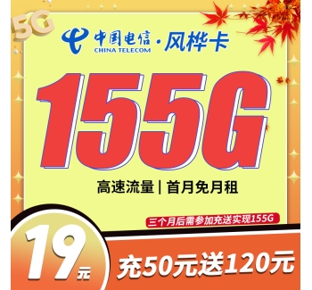 卡世界电信风桦卡19元155G